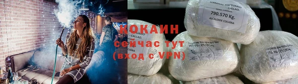 ГАЛЛЮЦИНОГЕННЫЕ ГРИБЫ Белокуриха