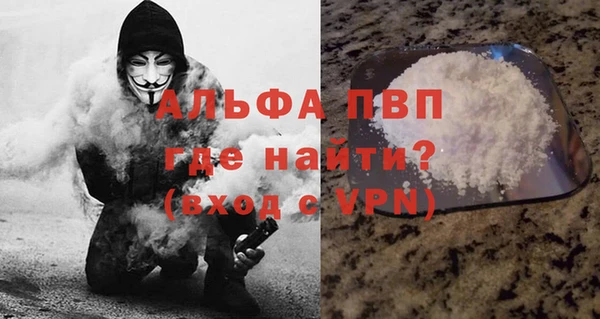ГАЛЛЮЦИНОГЕННЫЕ ГРИБЫ Белокуриха
