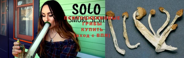 гашик Беломорск