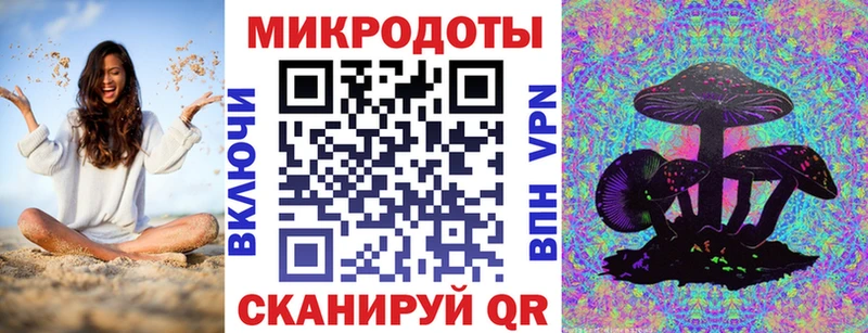 как найти   Невьянск  Псилоцибиновые грибы Psilocybe 